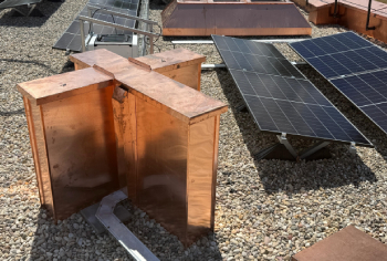 Glänzende Aussichten in Kupfer für das Löwentormuseum Stuttgart