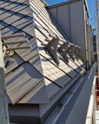 Mischung aus Stehfalztechnik und Metallscharen